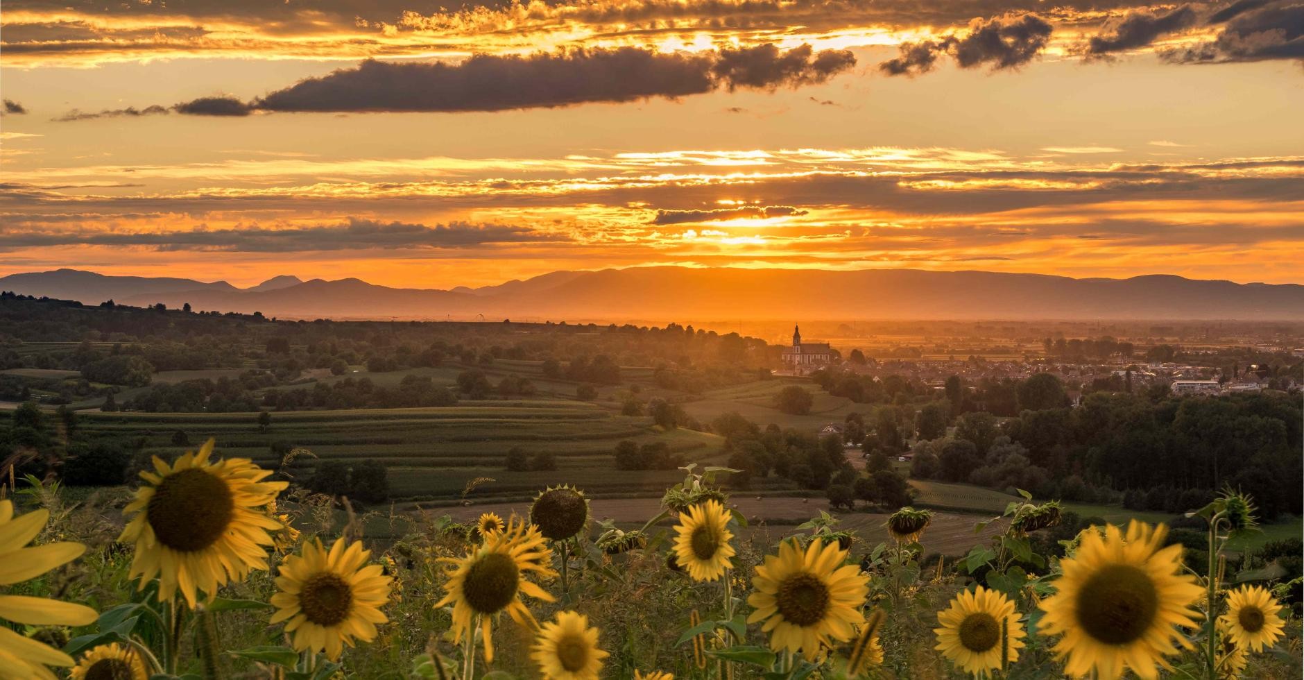 Sonnenuntergang in Ettenheim Sonnenuntergang in Ettenheim