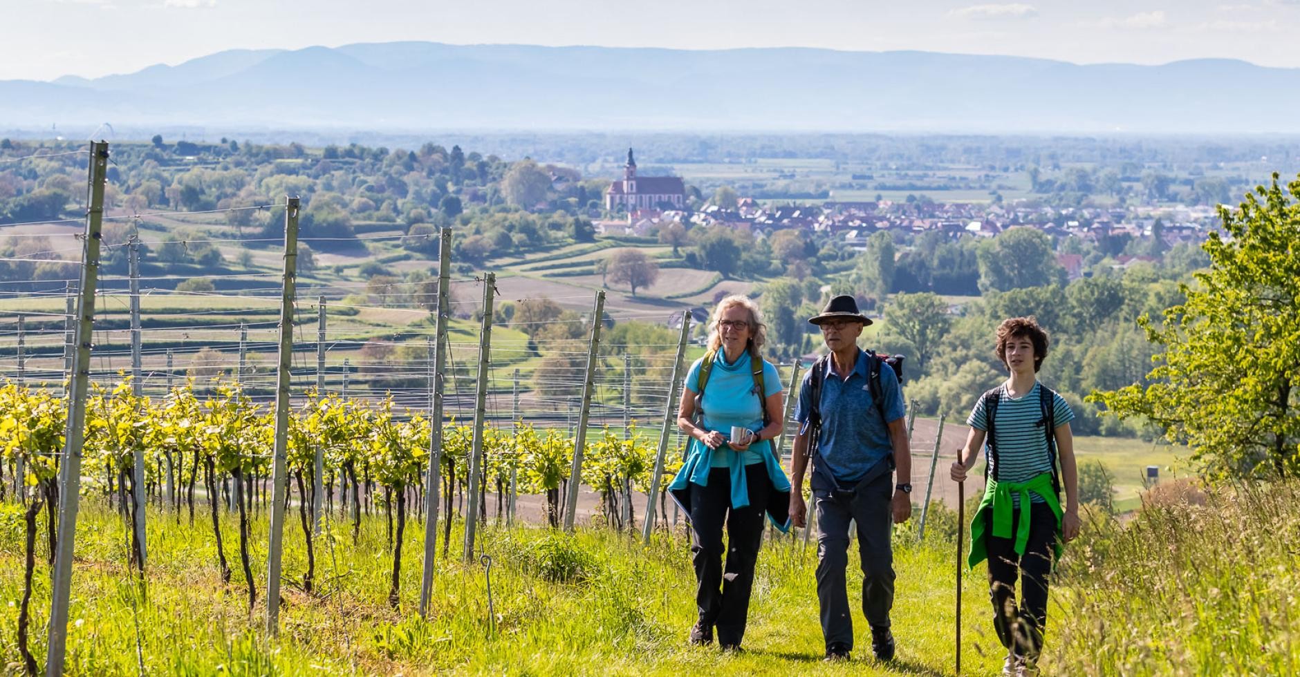 Wandern in den Reben