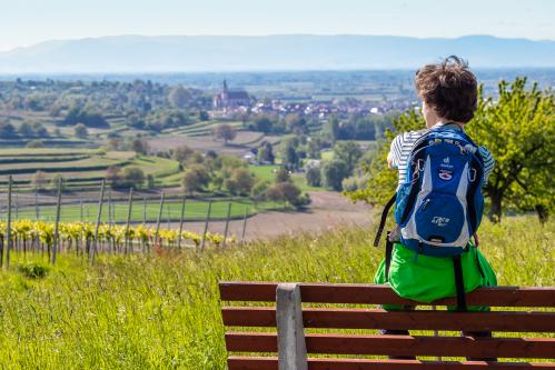 Wandern bei den Weinbergen