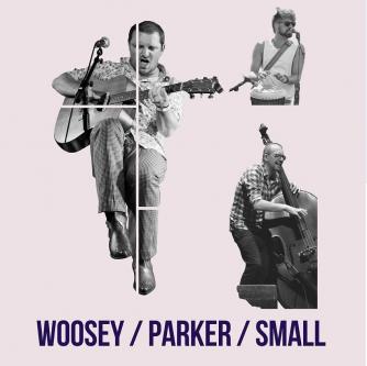 Wohnzimmerkonzert - Woosey Parker Small