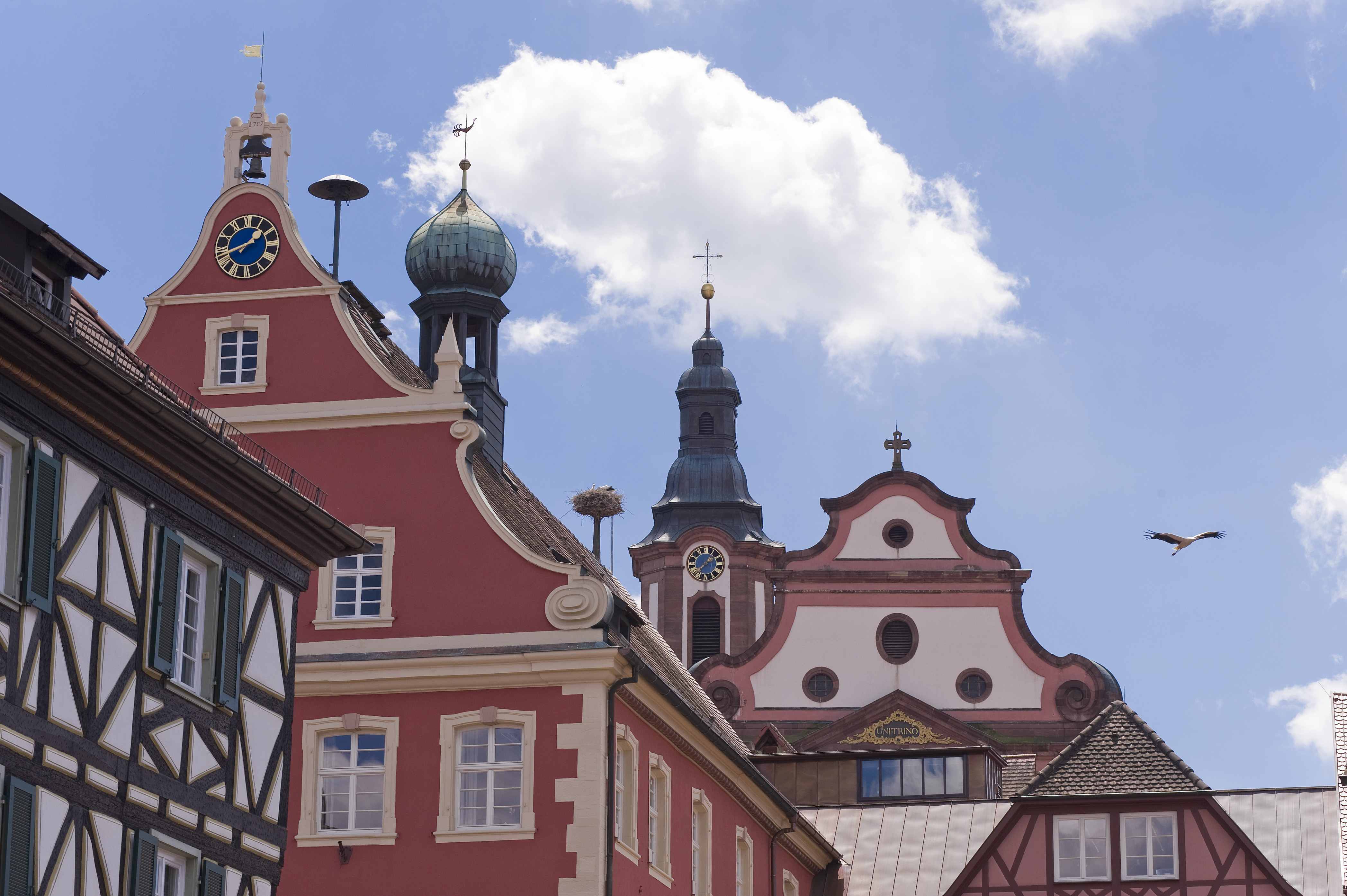 Dachlandschaft Ettenheim Rathaus-Kirche Dachlandschaft Ettenheim Rathaus-Kirche