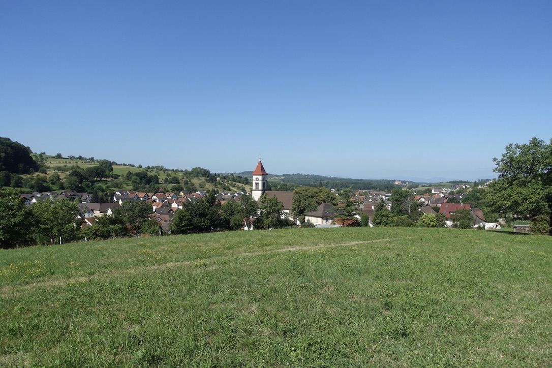 Blick vom Glöcklinsberg