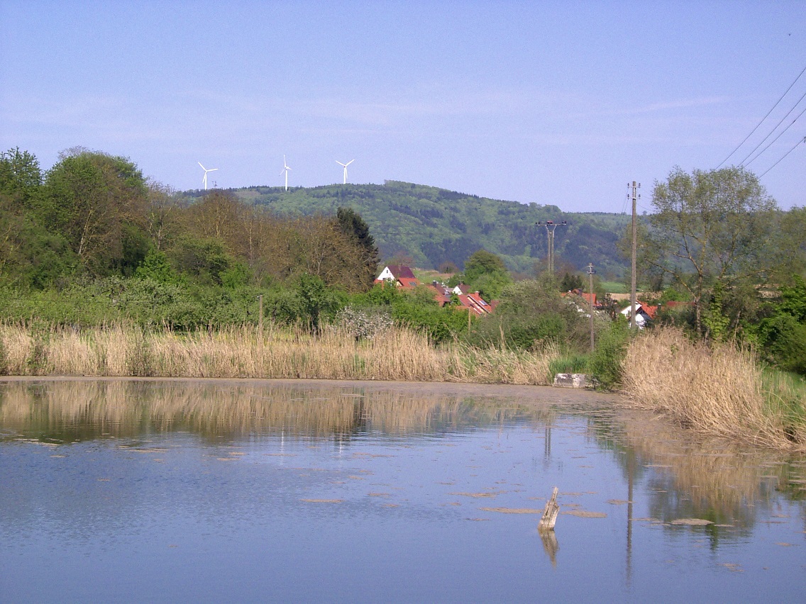 Fischweiher