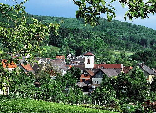 Blick über Wallburg