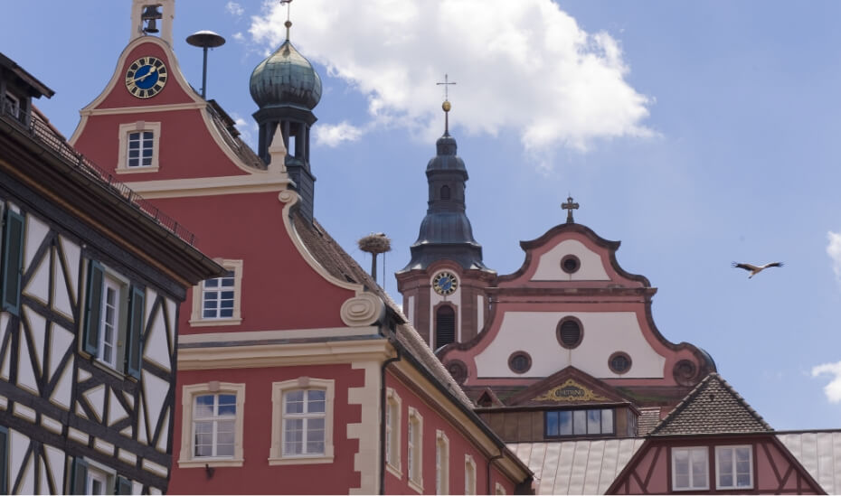 Dachlandschaft Rathaus Dachlandschaft Rathaus